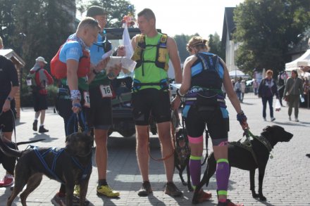 Fragment biegu Pucharu Polski w Dogtrekkingu w Wiśle